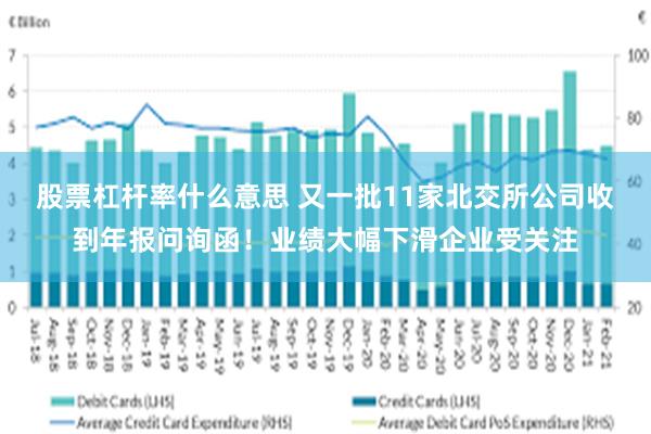 股票杠杆率什么意思 又一批11家北交所公司收到年报问询函！业绩大幅下滑企业受关注