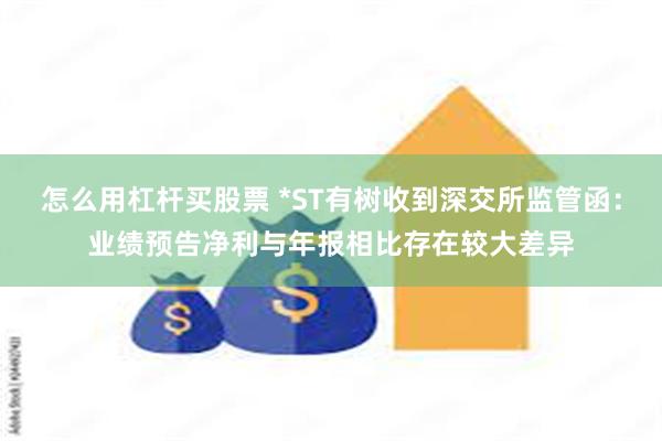 怎么用杠杆买股票 *ST有树收到深交所监管函：业绩预告净利与年报相比存在较大差异