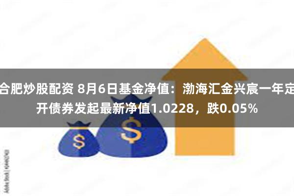 合肥炒股配资 8月6日基金净值：渤海汇金兴宸一年定开债券发起最新净值1.0228，跌0.05%