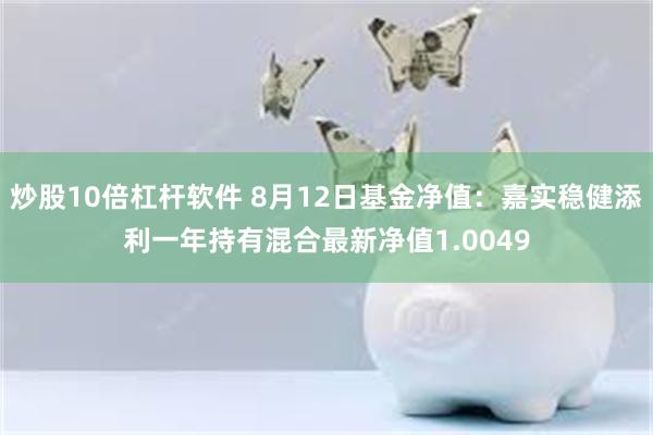 炒股10倍杠杆软件 8月12日基金净值：嘉实稳健添利一年持有混合最新净值1.0049