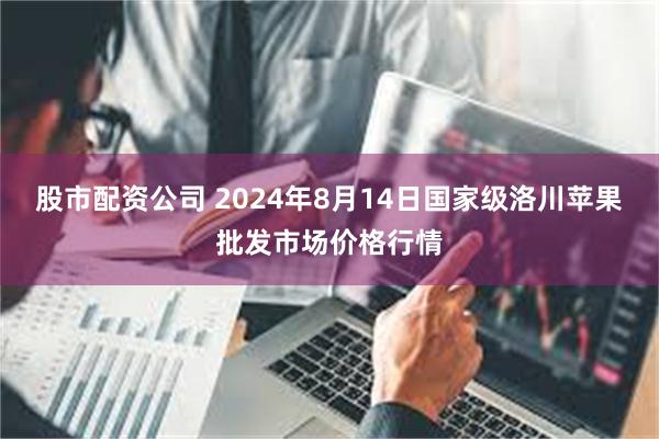 股市配资公司 2024年8月14日国家级洛川苹果批发市场价格行情