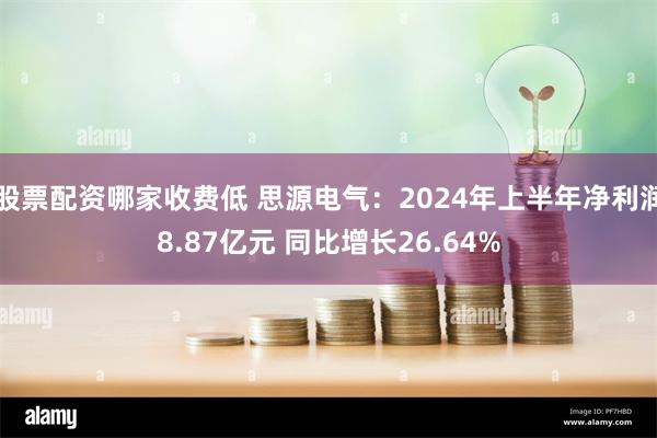 股票配资哪家收费低 思源电气：2024年上半年净利润8.87亿元 同比增长26.64%