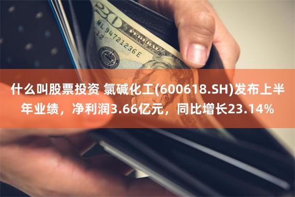 什么叫股票投资 氯碱化工(600618.SH)发布上半年业绩，净利润3.66亿元，同比增长23.14%