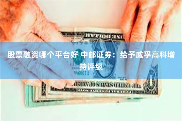 股票融资哪个平台好 中邮证券：给予威孚高科增持评级