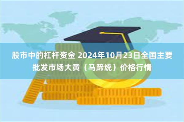 股市中的杠杆资金 2024年10月23日全国主要批发市场大黄（马蹄统）价格行情