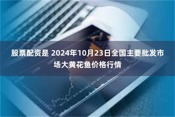 股票配资是 2024年10月23日全国主要批发市场大黄花鱼价格行情