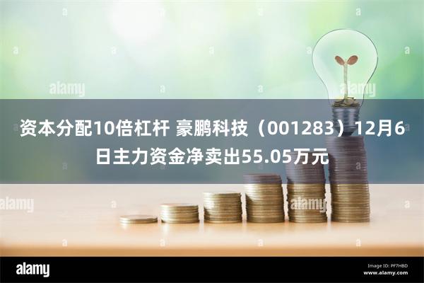 资本分配10倍杠杆 豪鹏科技（001283）12月6日主力资金净卖出55.05万元