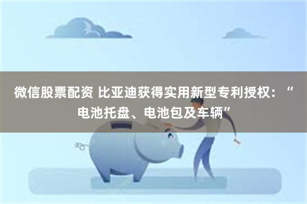 微信股票配资 比亚迪获得实用新型专利授权：“电池托盘、电池包及车辆”