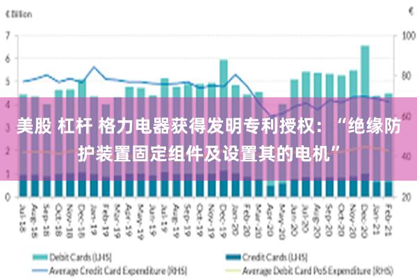 美股 杠杆 格力电器获得发明专利授权：“绝缘防护装置固定组件及设置其的电机”