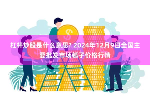 杠杆炒股是什么意思? 2024年12月9日全国主要批发市场瓠子价格行情