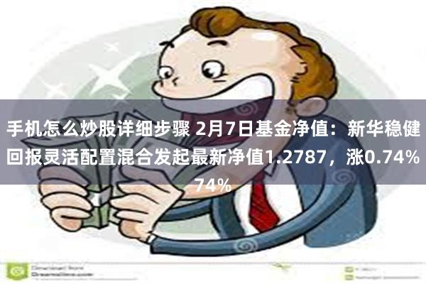 手机怎么炒股详细步骤 2月7日基金净值：新华稳健回报灵活配置混合发起最新净值1.2787，涨0.74%